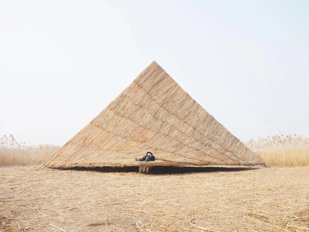 BIM Architecture | Healing Mountain/Du Yang Studio