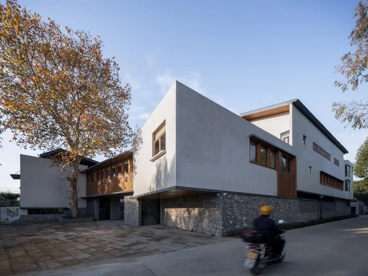BIM Architecture | Longnan Village Party and Mass Center/Forest Building