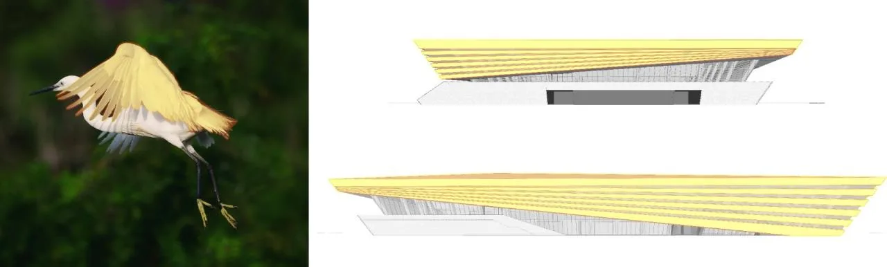 BIM Architecture | White Egrets Fly Together Wetland Exhibition Wings: Bohai University Sports Center/Chinese Academy of Sciences Architectural Design and Research Institute Co., Ltd