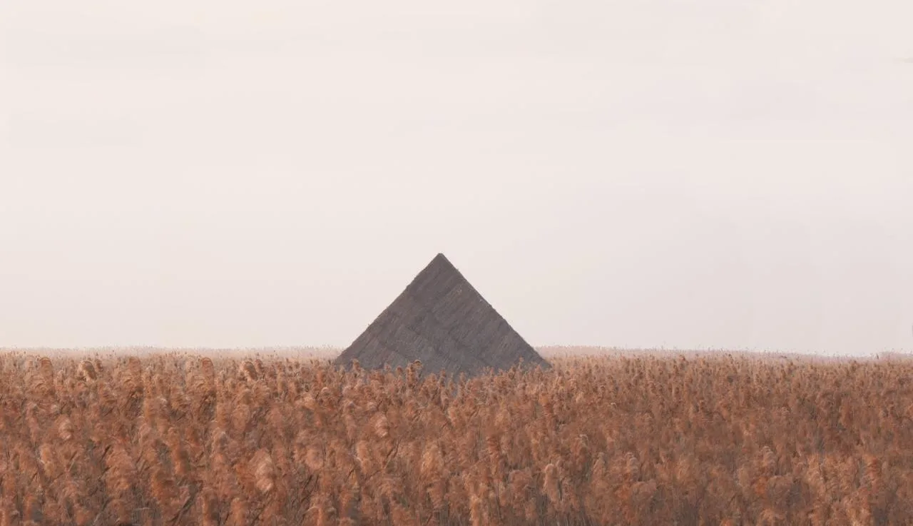 BIM Architecture | Healing Mountain/Du Yang Studio