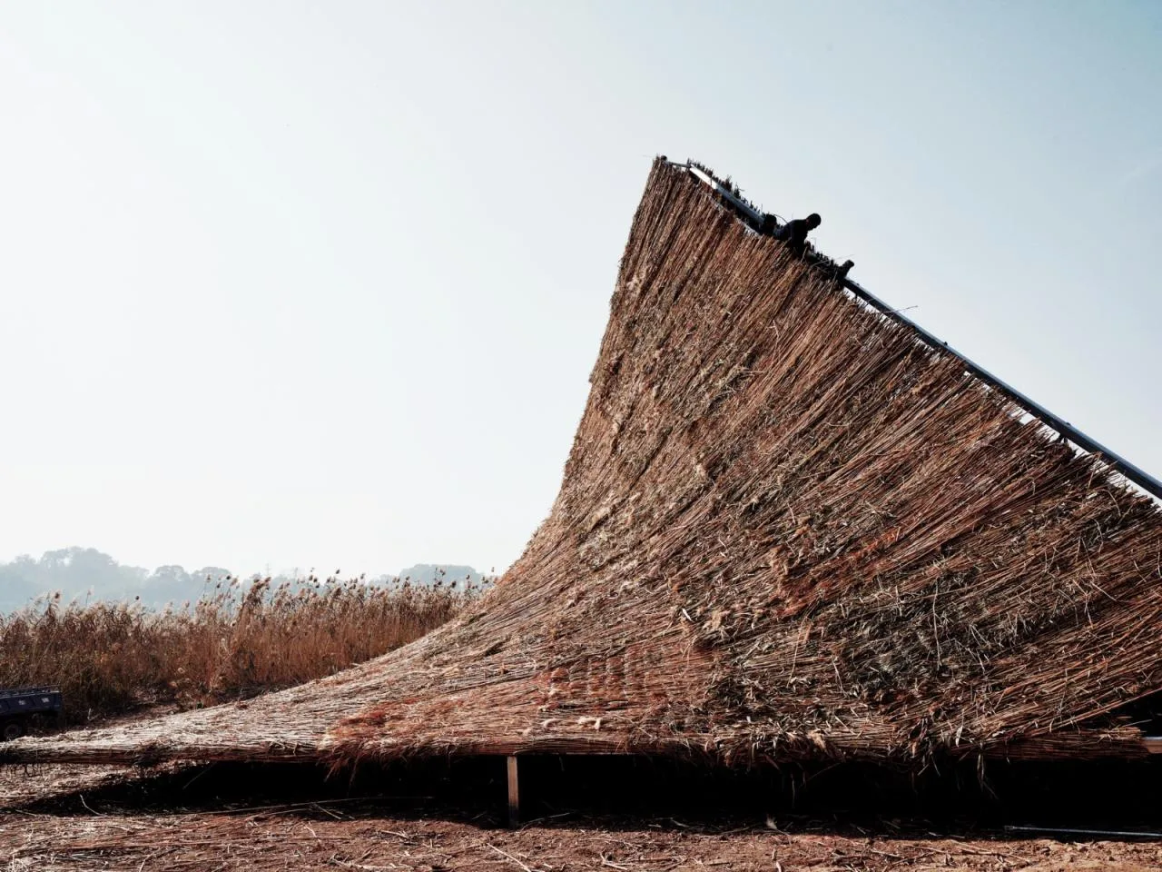 BIM Architecture | Healing Mountain/Du Yang Studio