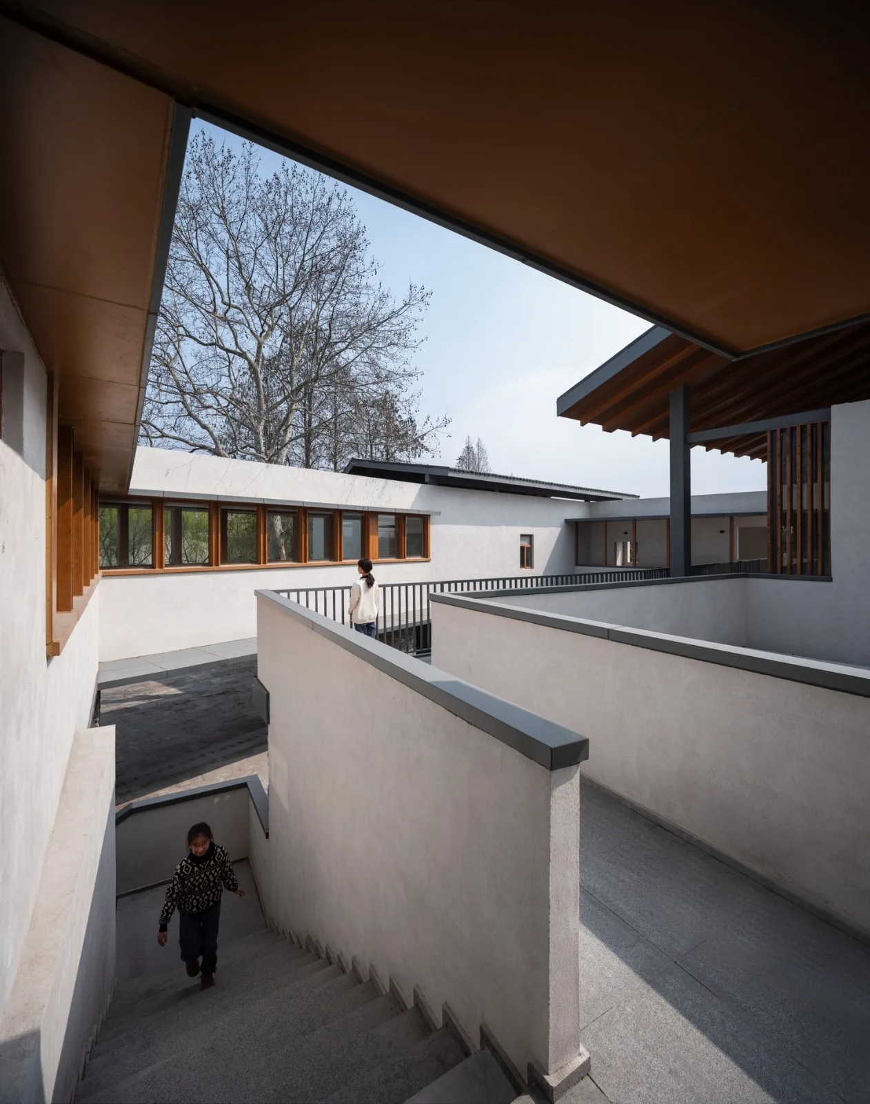 BIM Architecture | Longnan Village Party and Mass Center/Forest Building