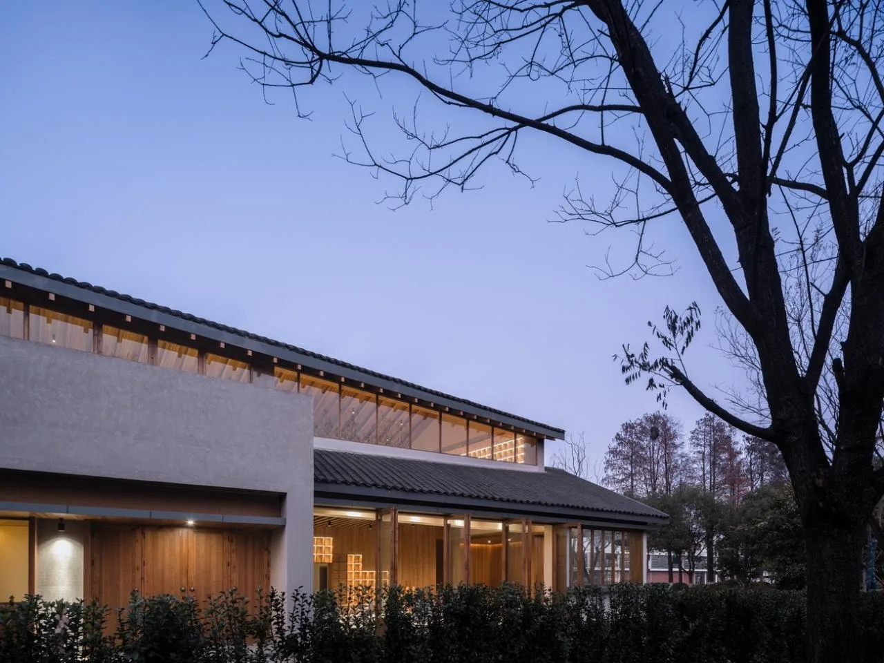 BIM Architecture | Longnan Village Bohong Bookstore/Forest Building