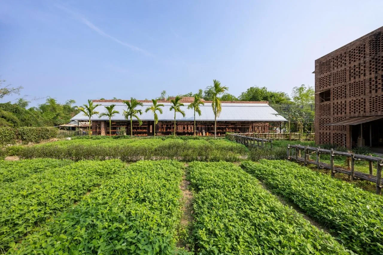 BIM Architecture | Terracotta Warriors Studio/Tropical Space