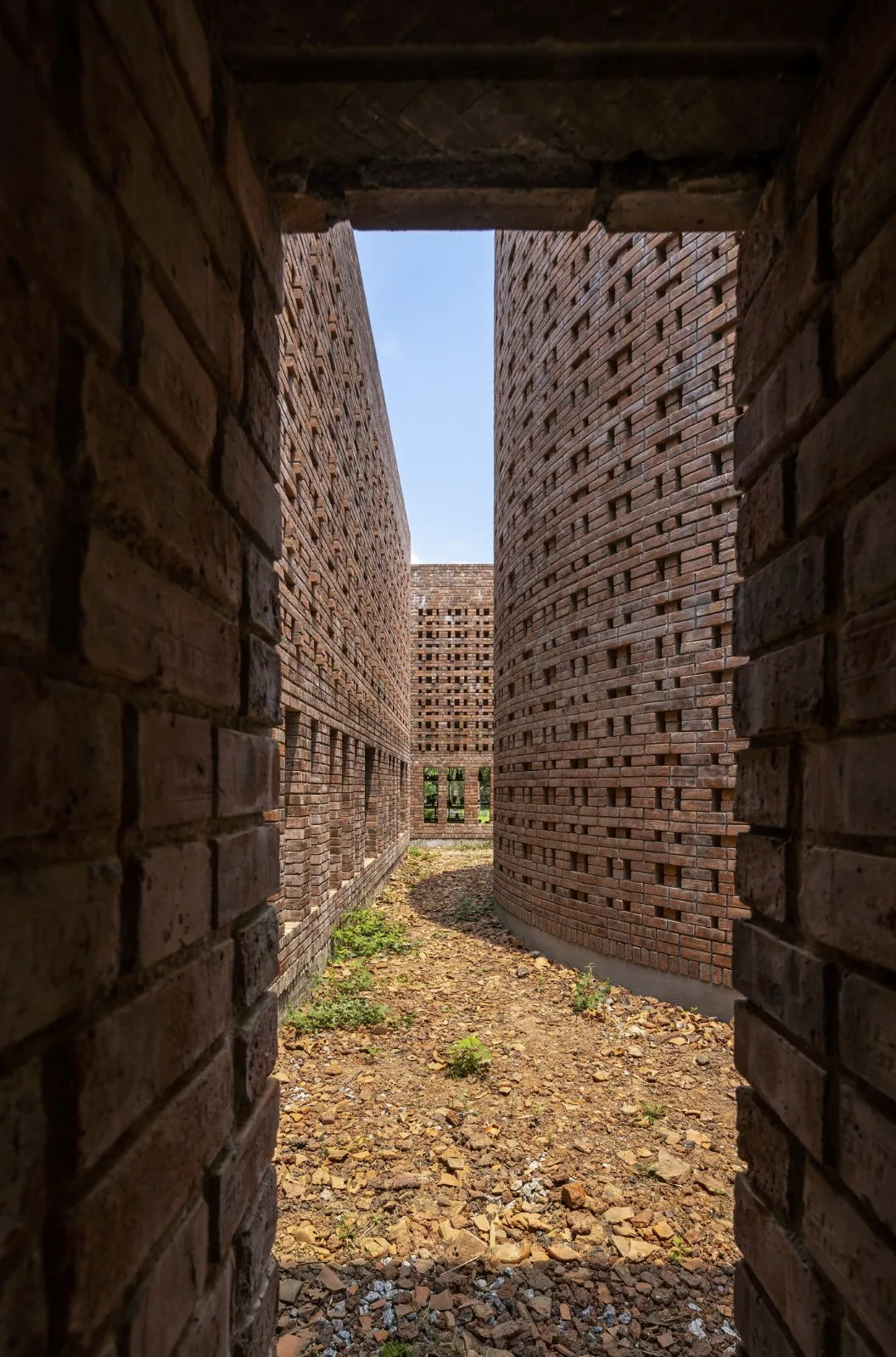 BIM Architecture | Terracotta Warriors Studio/Tropical Space