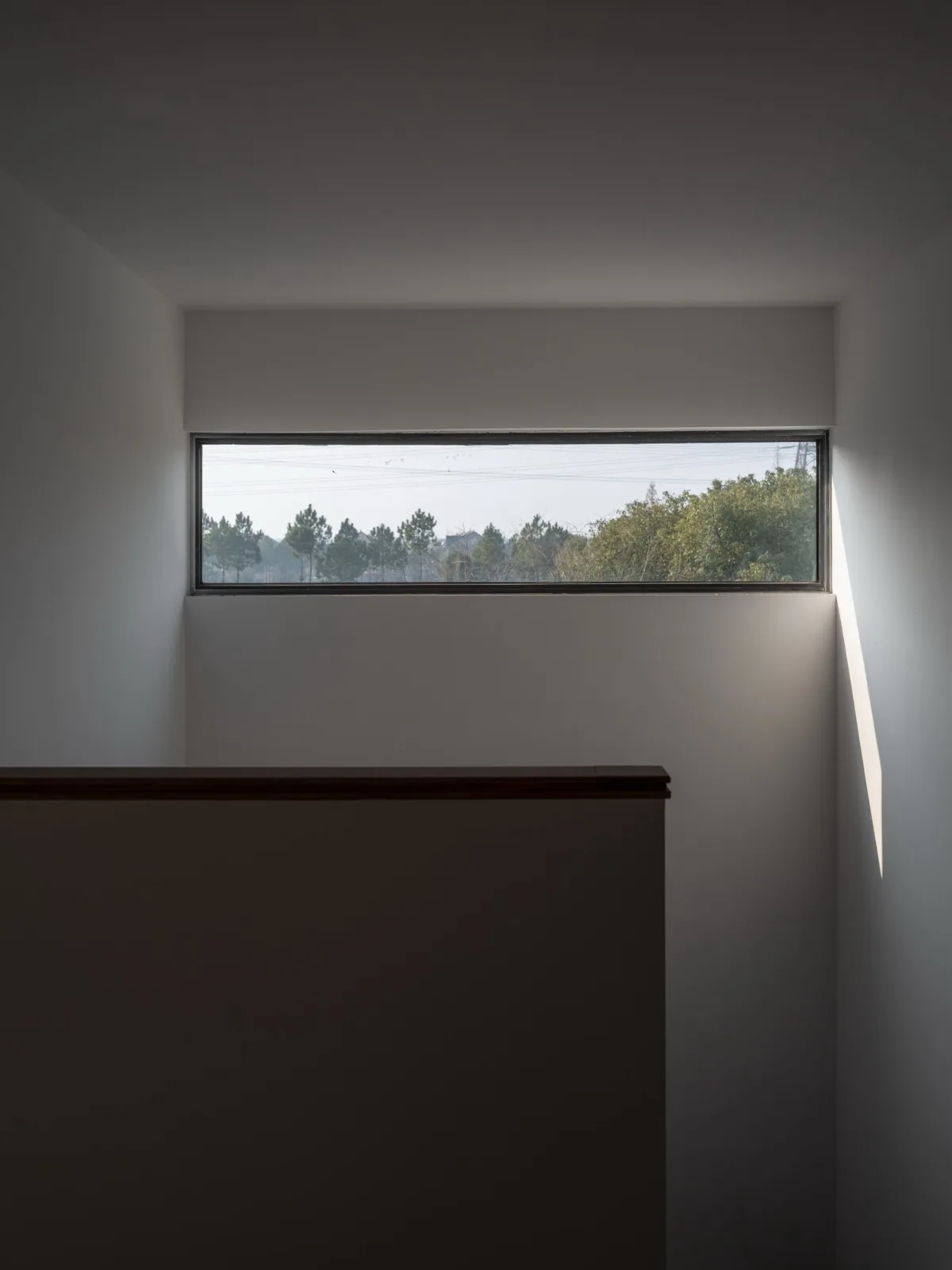 BIM Architecture | Longnan Village Party and Mass Center/Forest Building
