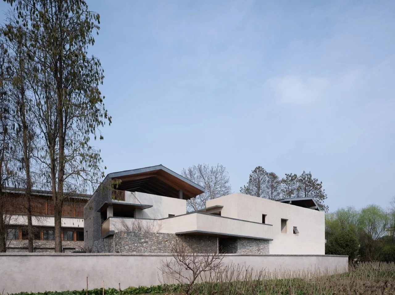 BIM Architecture | Longnan Village Party and Mass Center/Forest Building
