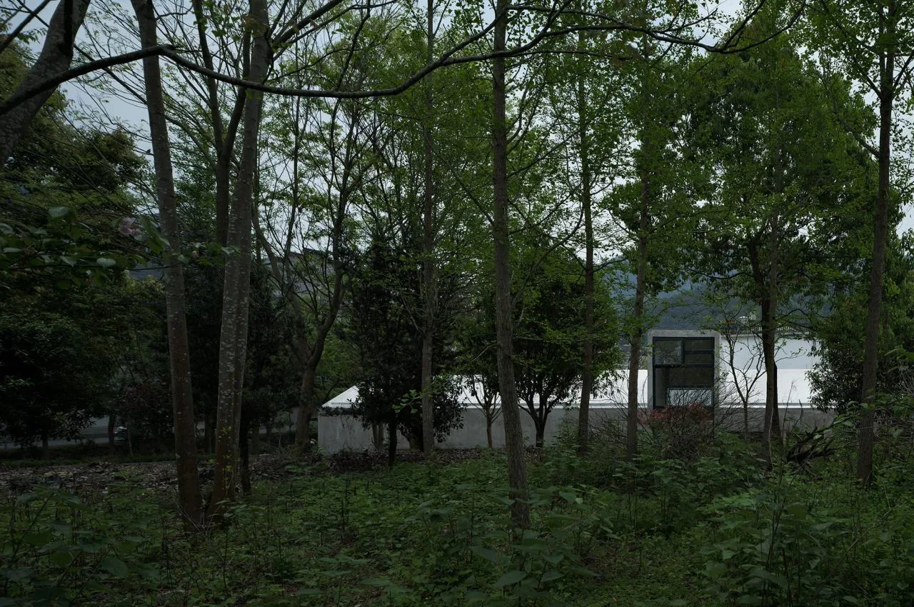 BIM Architecture | Wanghu Village Village Home: Continuation and Reconstruction of Natural Prototype/Zhejiang University Architectural Design and Research Institute
