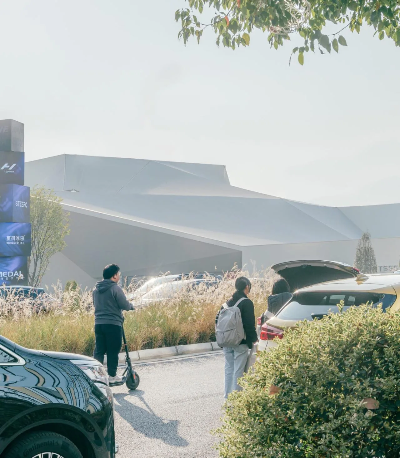 BIM Architecture | Luhu Forest Children's Museum/Large scale Building