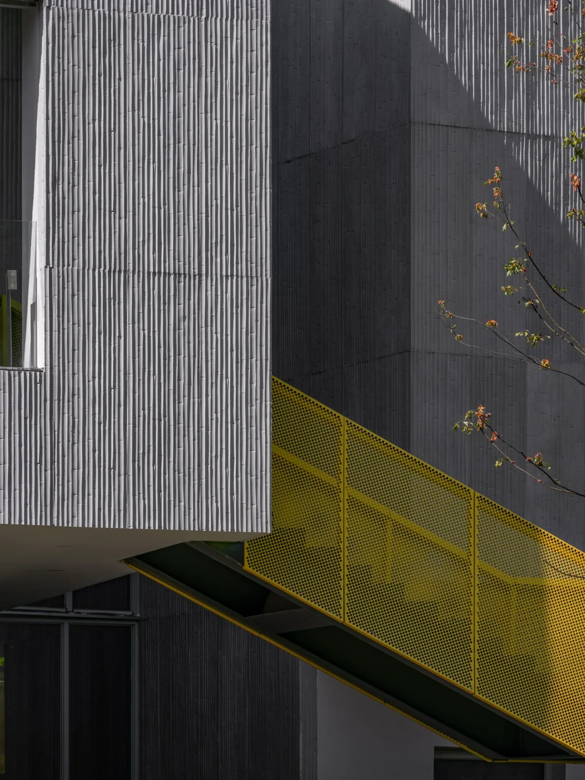 BIM Architecture | Exploration of Rural Building Renovation Practice Based on Spatial Narrative/Team led by Du Chunyu from the School of Design, Shanghai Jiao Tong University