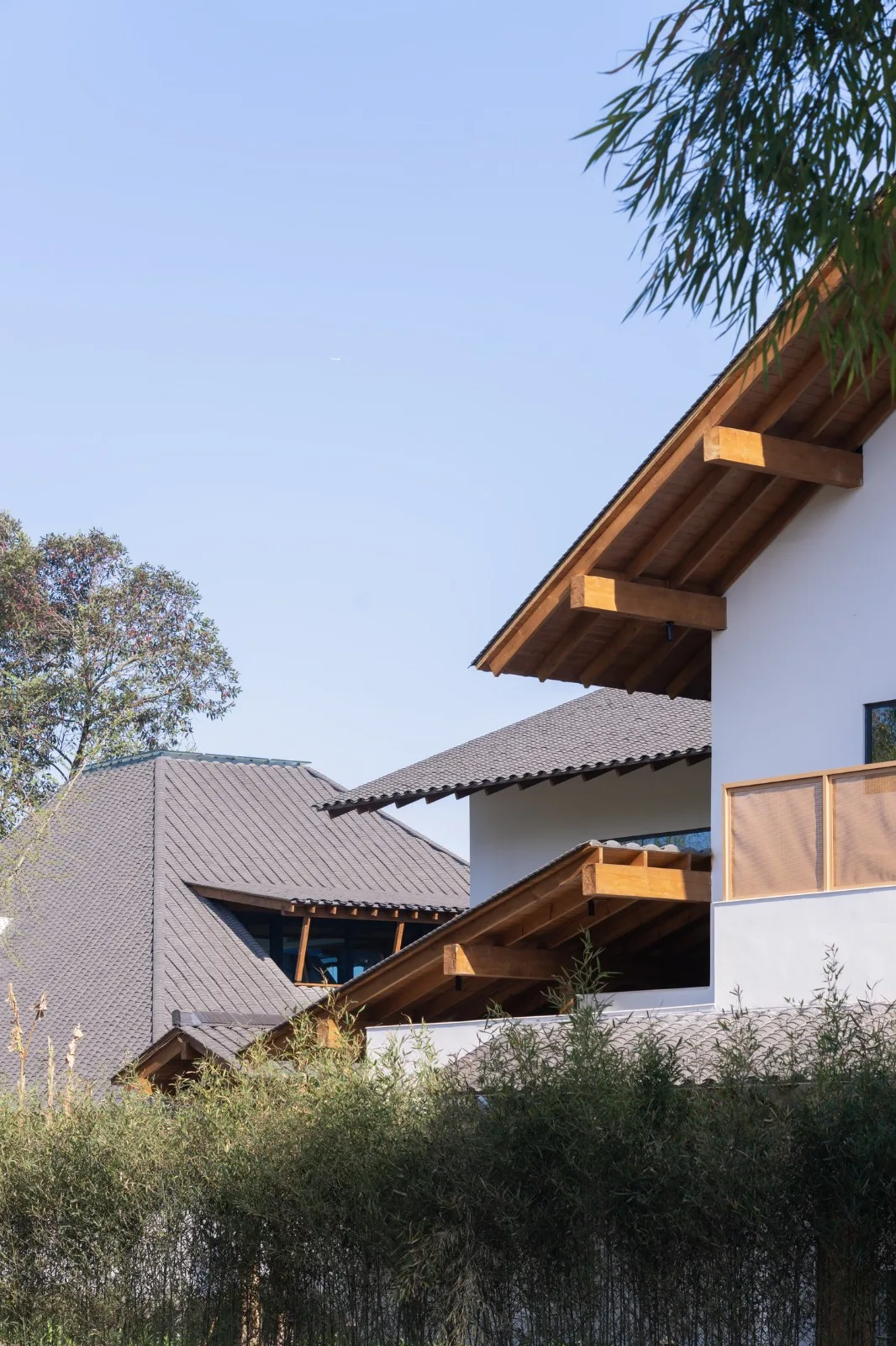 BIM Architecture | A Dialogue Across Thousands of Years of Agricultural Life: Xindu Baicao Xianglu/Xiaoyin Architecture