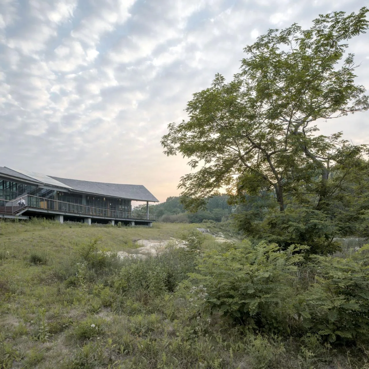 BIM Architecture | Longshan Tourist Center/Aurelien Chen