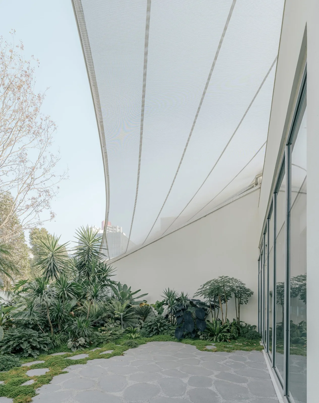 BIM Architecture | Luhu Forest Children's Museum/Large scale Building
