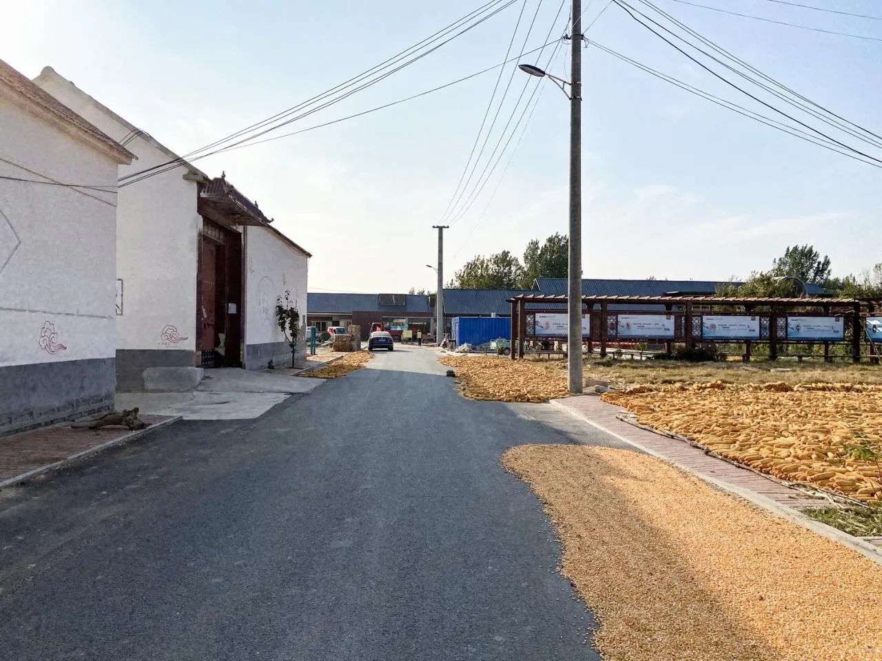 BIM Architecture | Li Guifen Rural Complex/Architectural Creation Center of Shandong Urban and Rural Planning and Design Institute Co., Ltd
