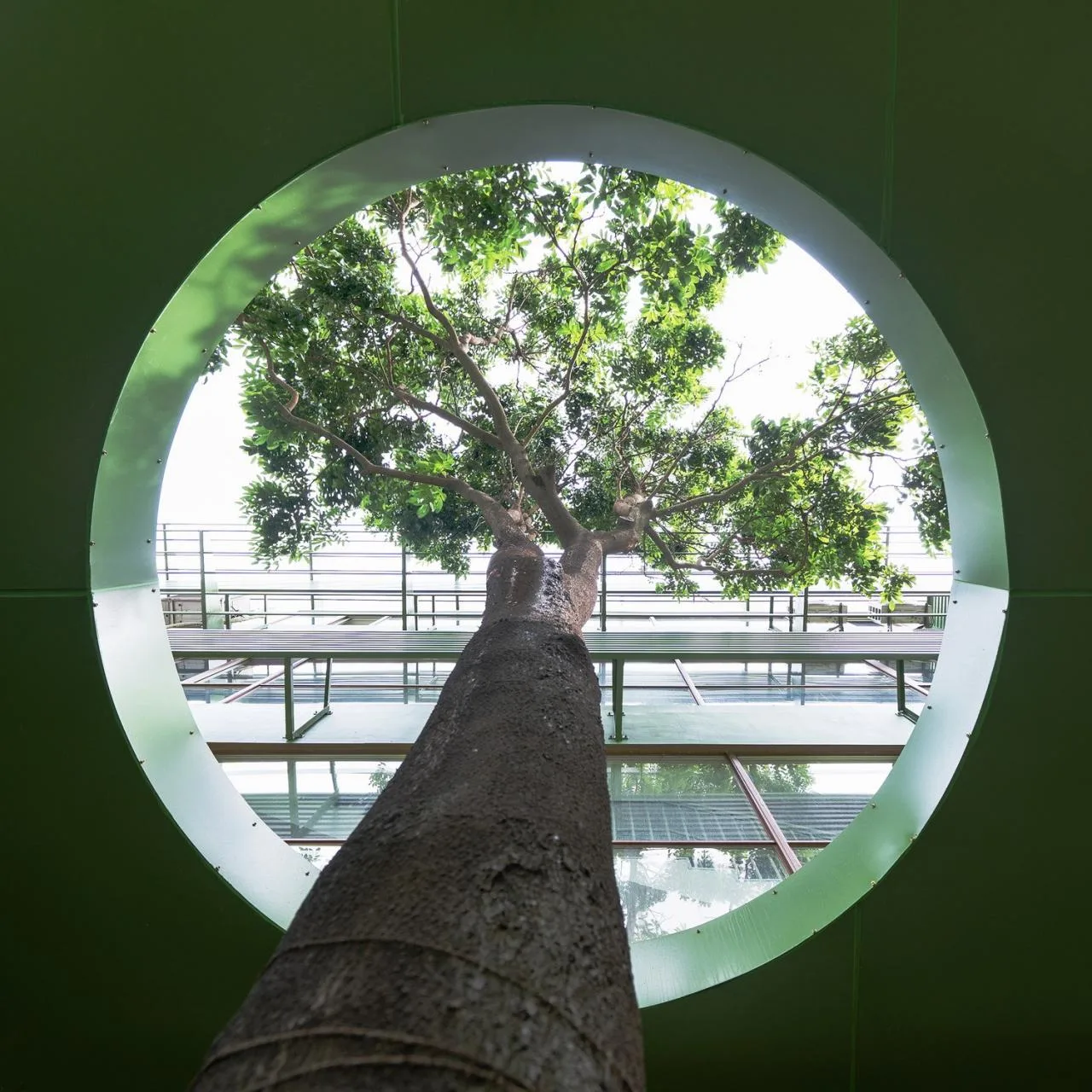 BIM Architecture | Shenzhen Birongwan Kindergarten Renovation/Buye Design Studio