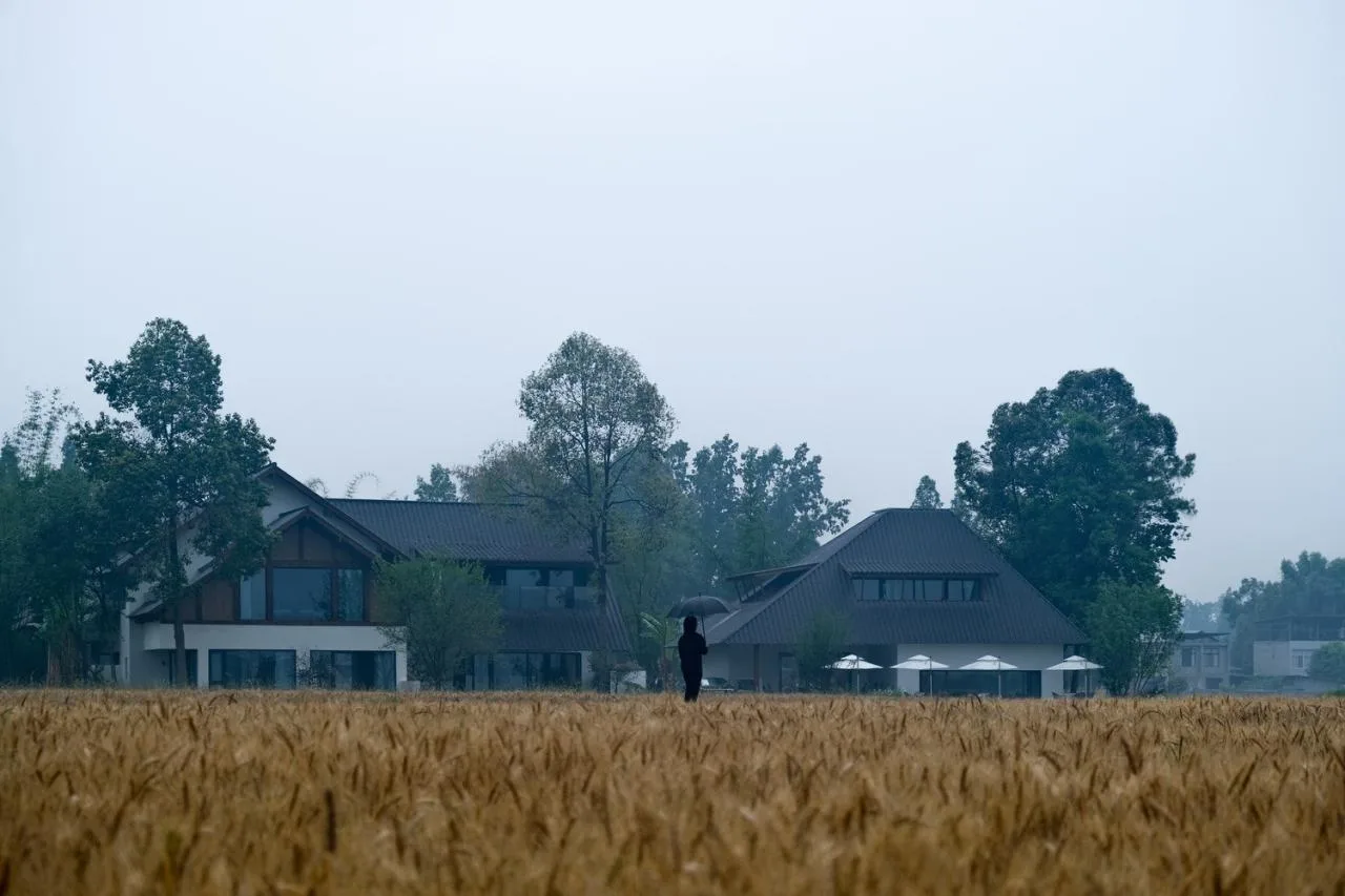 BIM Architecture | A Dialogue Across Thousands of Years of Agricultural Life: Xindu Baicao Xianglu/Xiaoyin Architecture