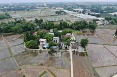BIM Architecture: Bridging Millennia of Agricultural Heritage with Xindu Baicao Xianglu and Xiaoyin Design-BIM WORLD