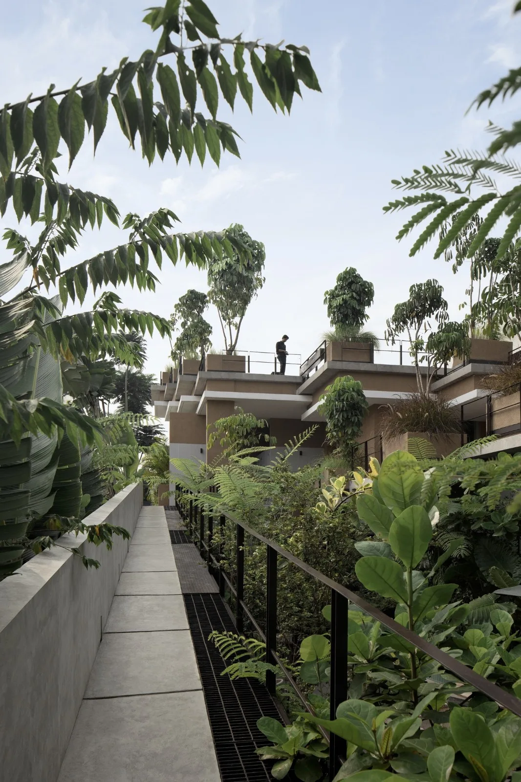 BIM Architecture | Aruma Layered Garden/RAD+ar