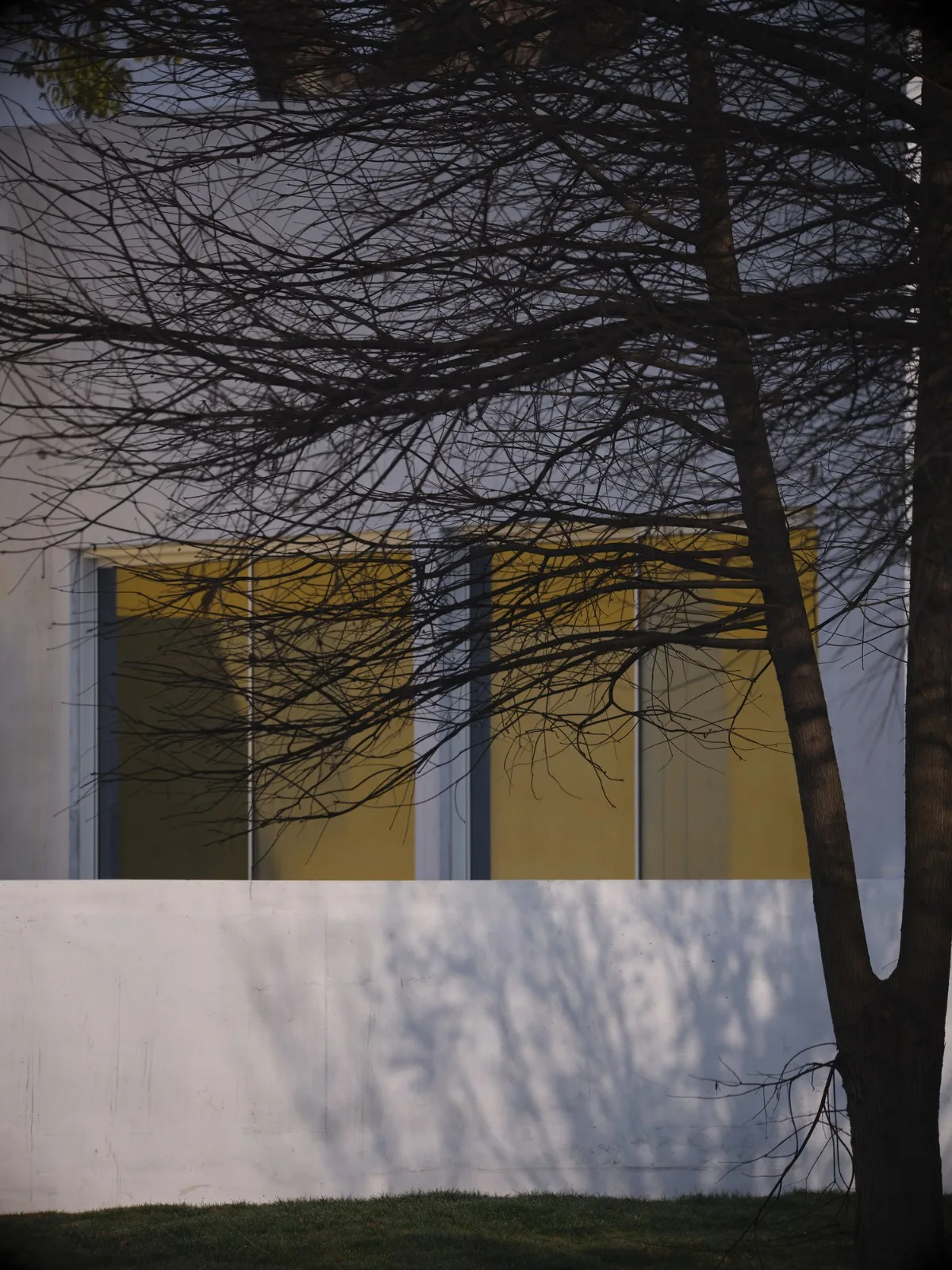 BIM Architecture | 'q' Center - Shanghai Langxia Village Activity Center/Atelier tf+PPAS