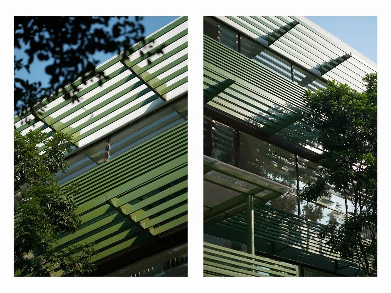 BIM Architecture | Shenzhen Birongwan Kindergarten Renovation/Buye Design Studio