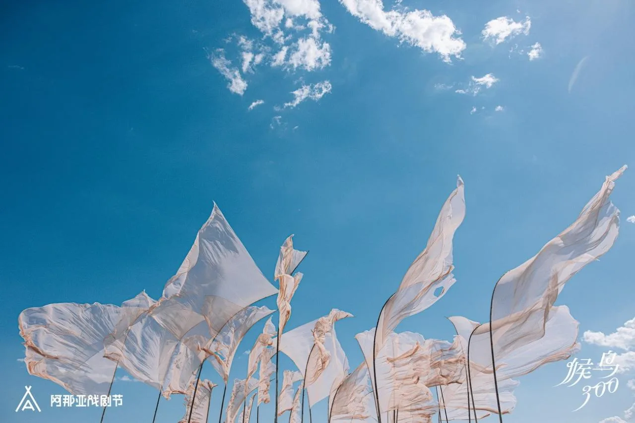 BIM Architecture | Migratory Bird Sand City: New Works of '2024 Anaya Drama Festival' by Ma Yansong