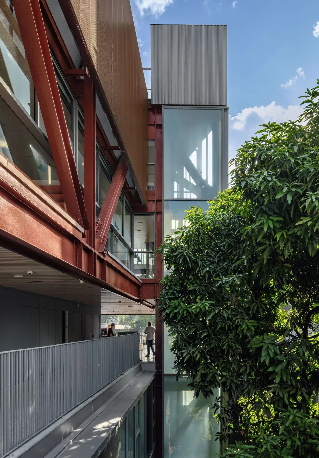 BIM Architecture | Rudolf Steiner University/Biselli Katchborian Arquitetos