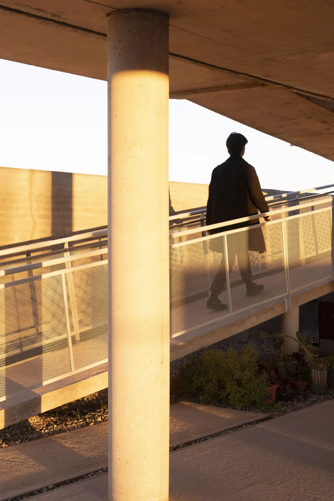 BIM Architecture | Residential Buildings Between Columns/Esteras Perrote