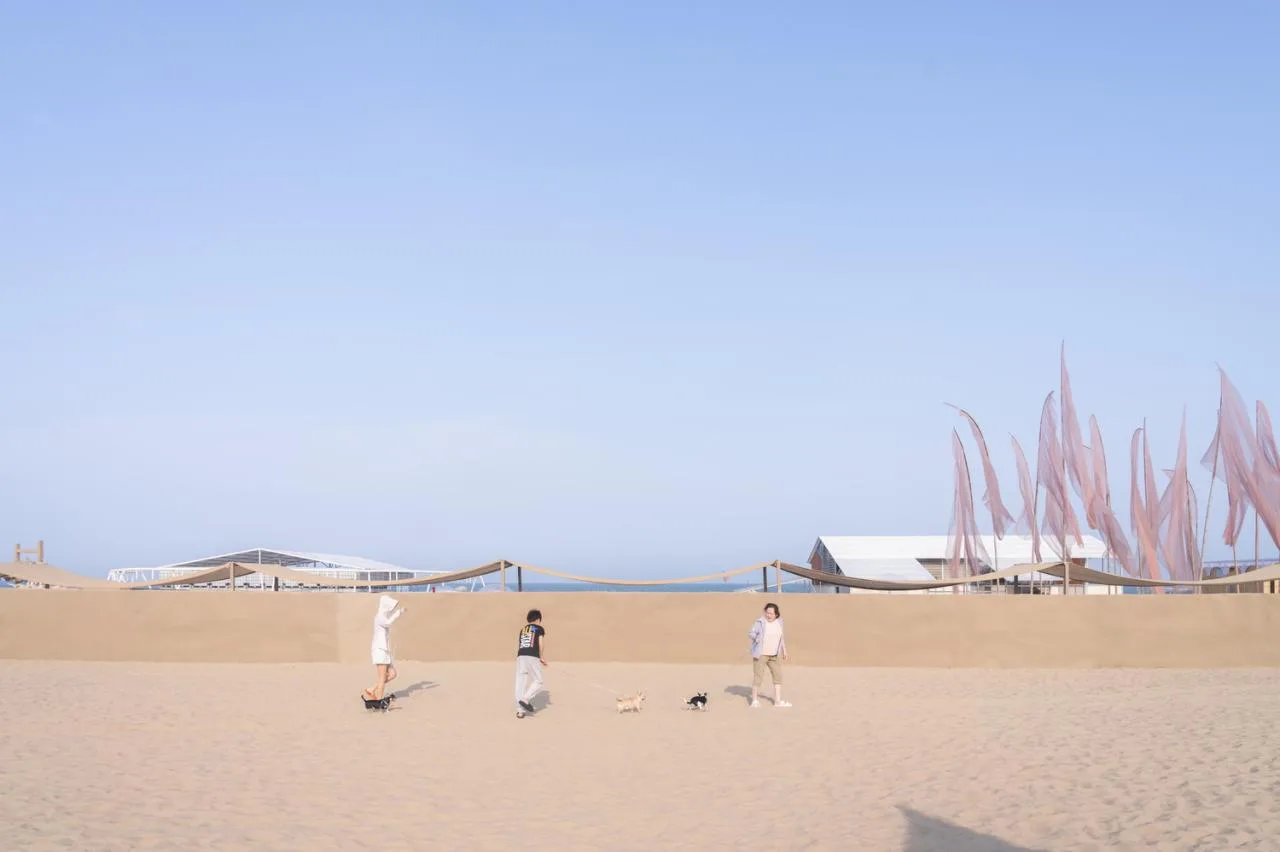 BIM Architecture | Migratory Bird Sand City: New Works of '2024 Anaya Drama Festival' by Ma Yansong