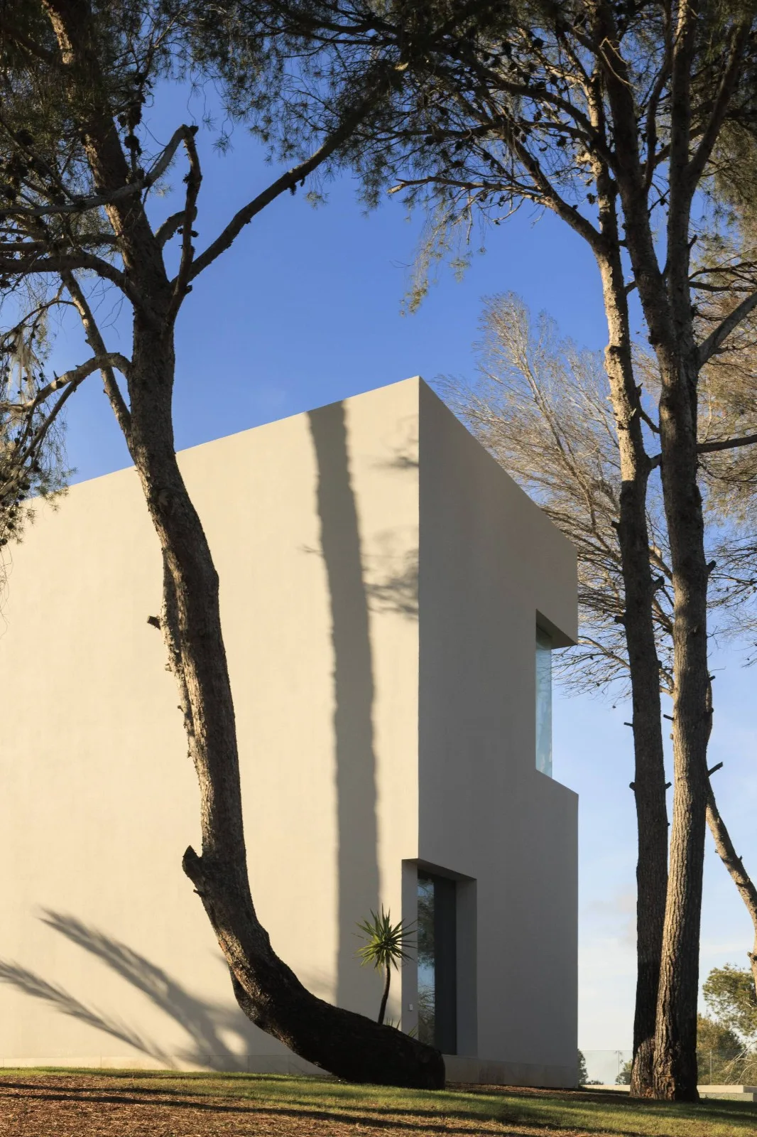 BIM Architecture | Sabater Villas/Fran Silvestre Arquitectos