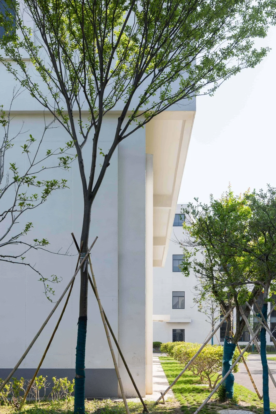 BIM Architecture | Warm Factory in the Context of Art Museums/Tianzige Architecture Firm