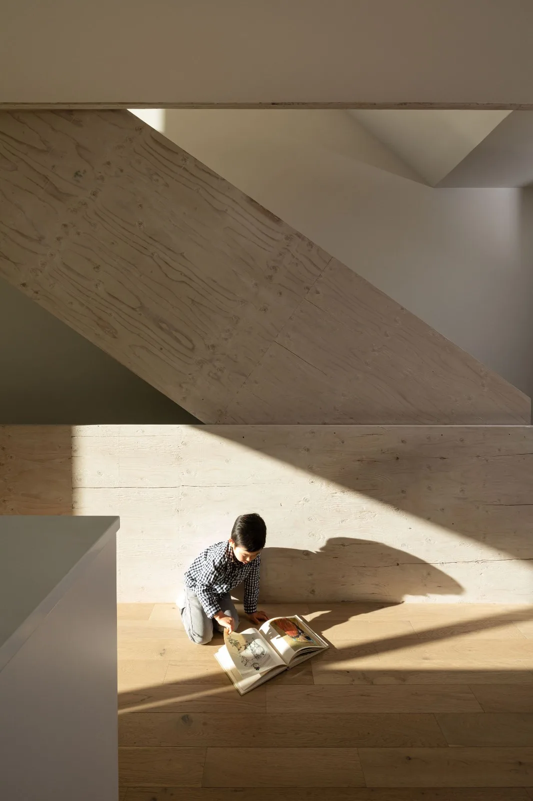 BIM Architecture | Pearl Block Building/D'Arcy Jones Architects