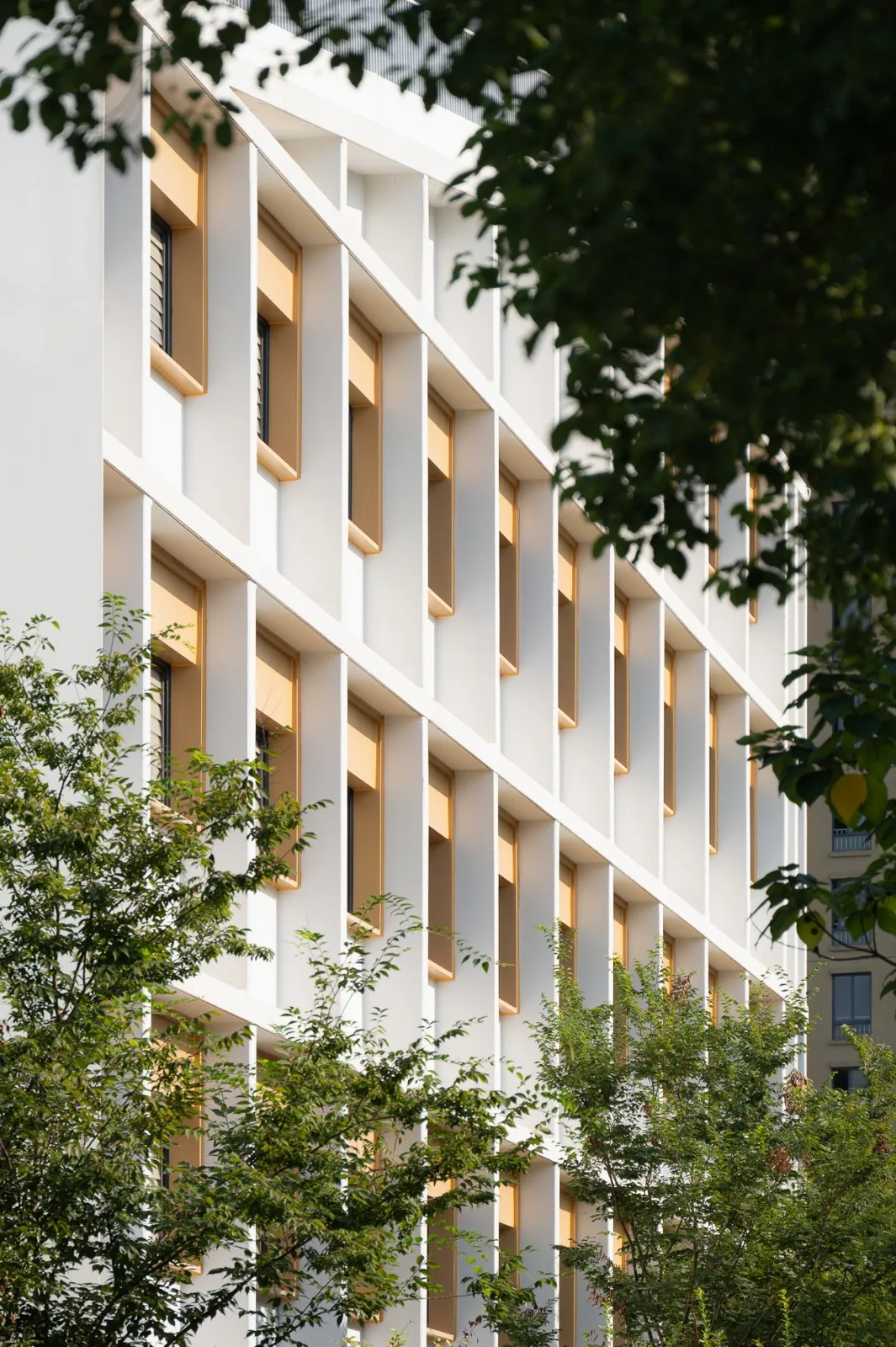 BIM Architecture | Growth Ladder, Boundless Campus: Hangzhou Shangtang Unit Primary School/Zhejiang University Architectural Design and Research Institute