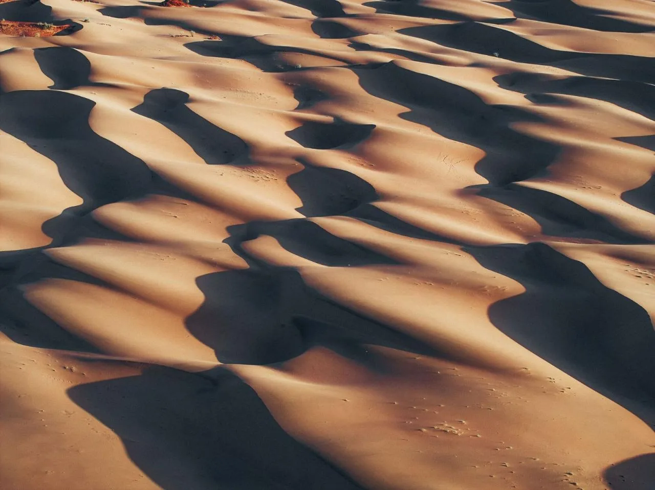 BIM Architecture | Six Goodness Hotel in Southern Red Sea Dunes/Foster+Partners