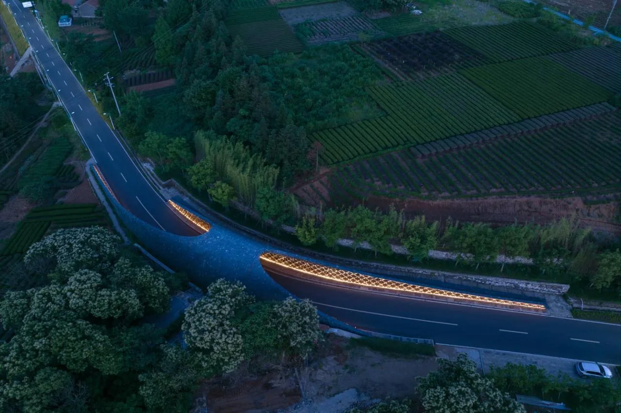 BIM Architecture | From Heaven to Earth: Penetrating through Clouds and Weaving into Wooden Tunnels from Underneath Rocks and Shells; Tengyun Meteorological Environment/Zhu Peidong Line+Architectural Firm