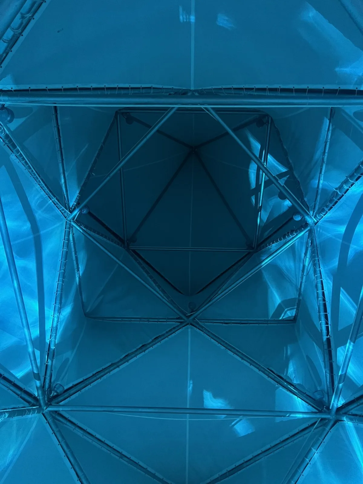 BIM Architecture | Artificial Trees/Limited Design Studio