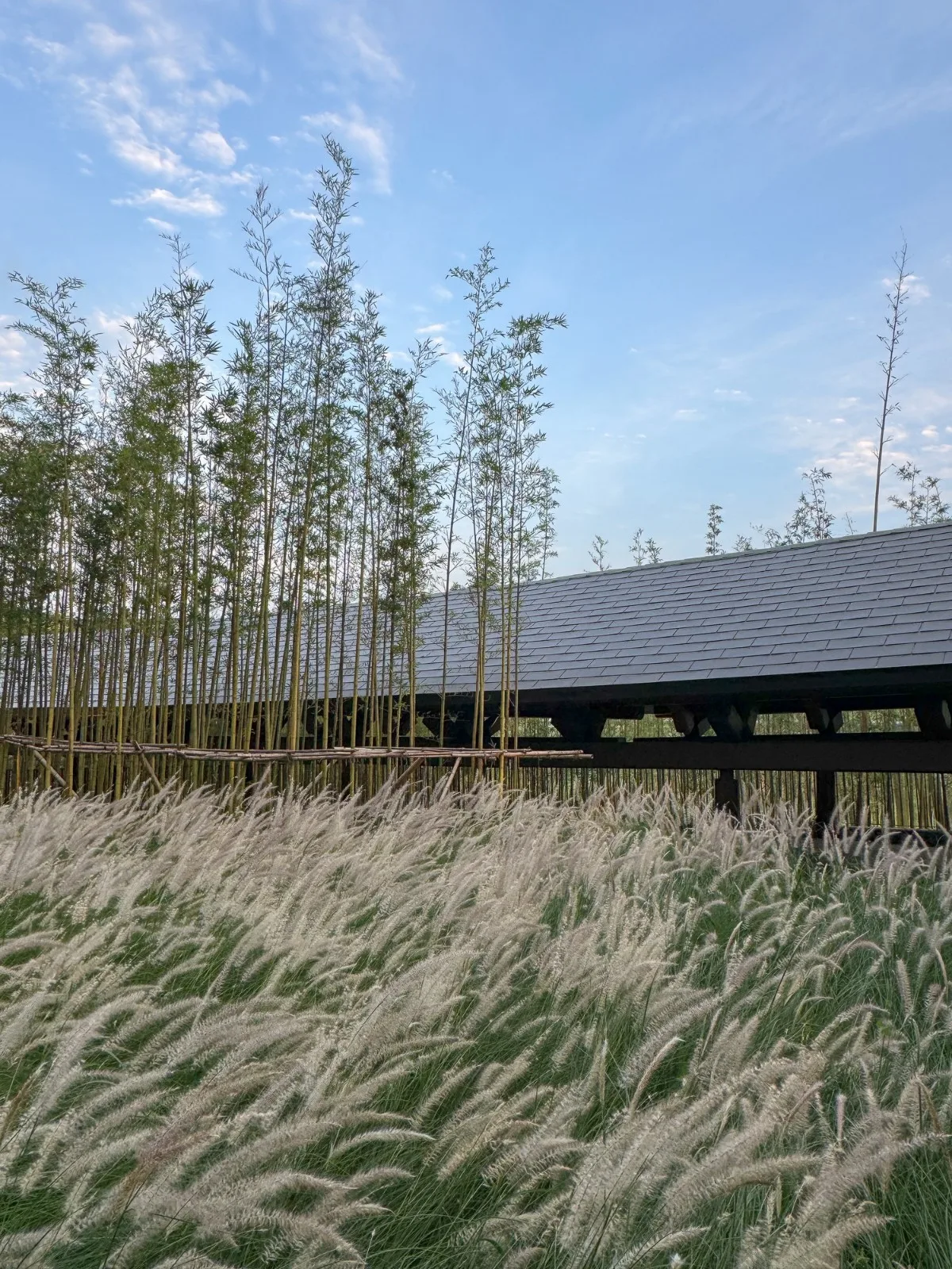 BIM Architecture | "Dragon Ridge" - Mediterranean Black Dragon Beach Resort Hotel/AIM Architecture