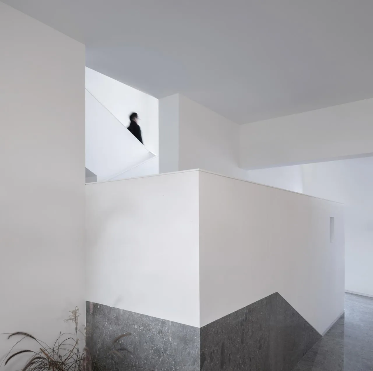 BIM Architecture | Stories of Horticulture: Gardener Tools Museum/Forest Architecture