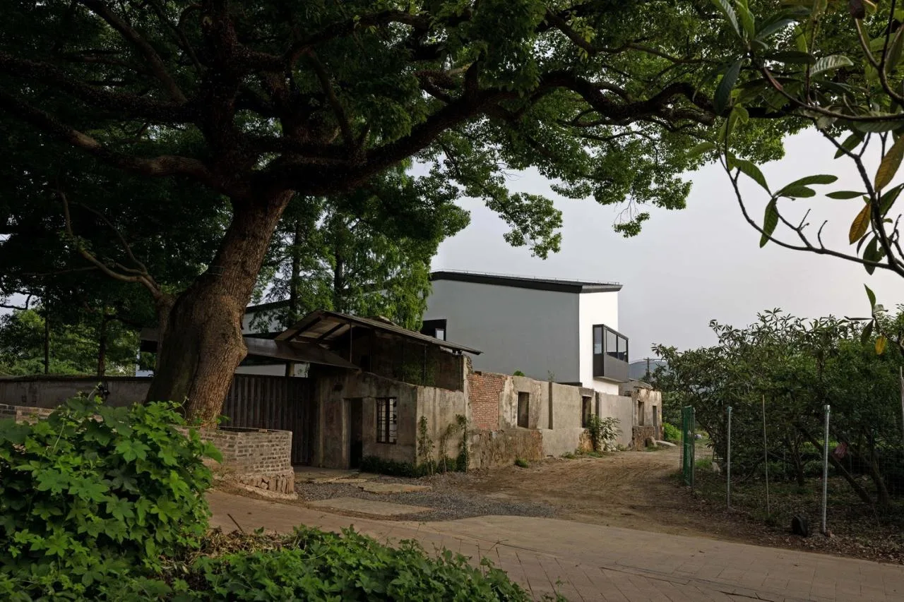 BIM Architecture | Wuzhangting Cultural and Tourism Life Hall/Pingjie Design+Shangrui Yuanzhu