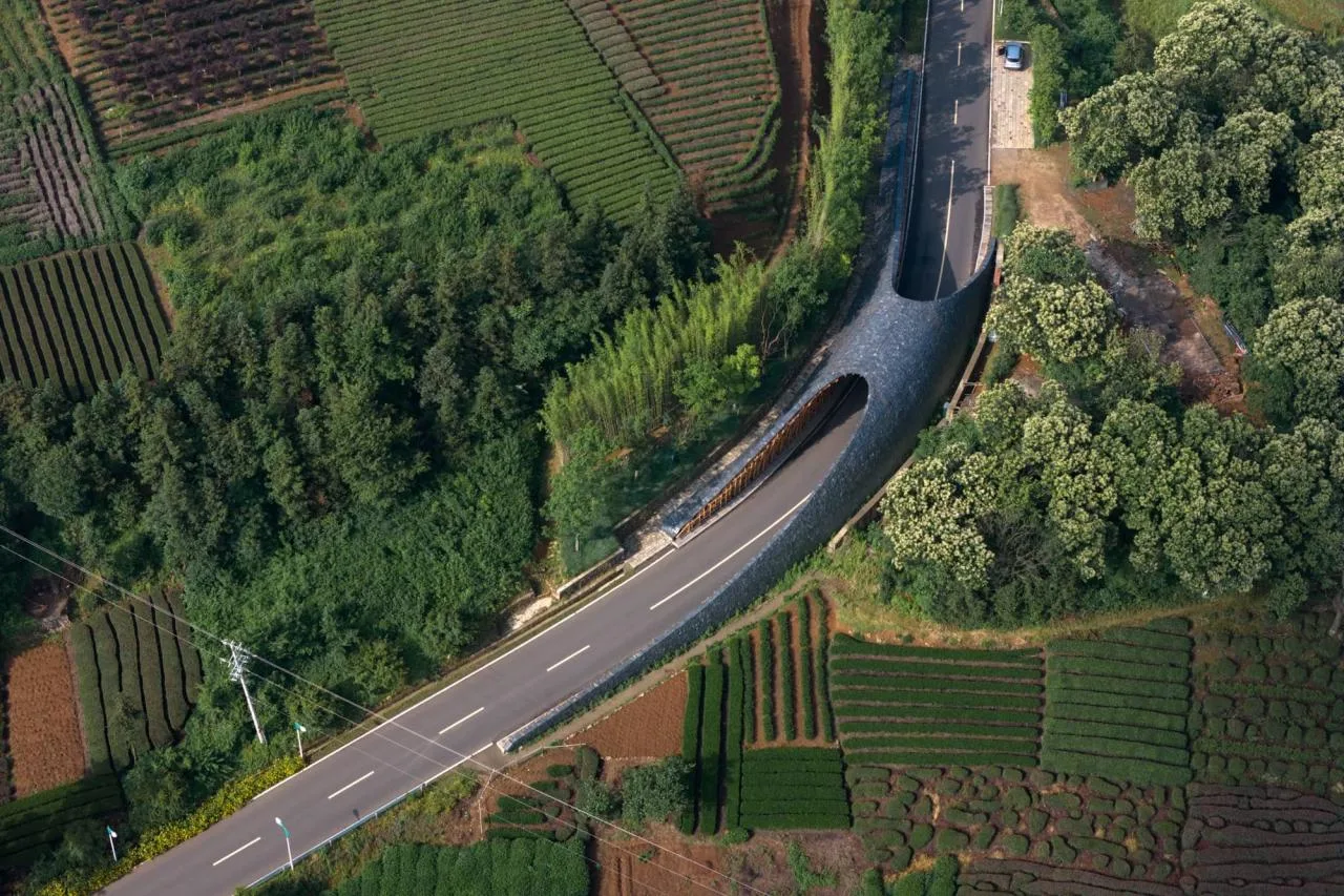 BIM Architecture | From Heaven to Earth: Penetrating through Clouds and Weaving into Wooden Tunnels from Underneath Rocks and Shells; Tengyun Meteorological Environment/Zhu Peidong Line+Architectural Firm