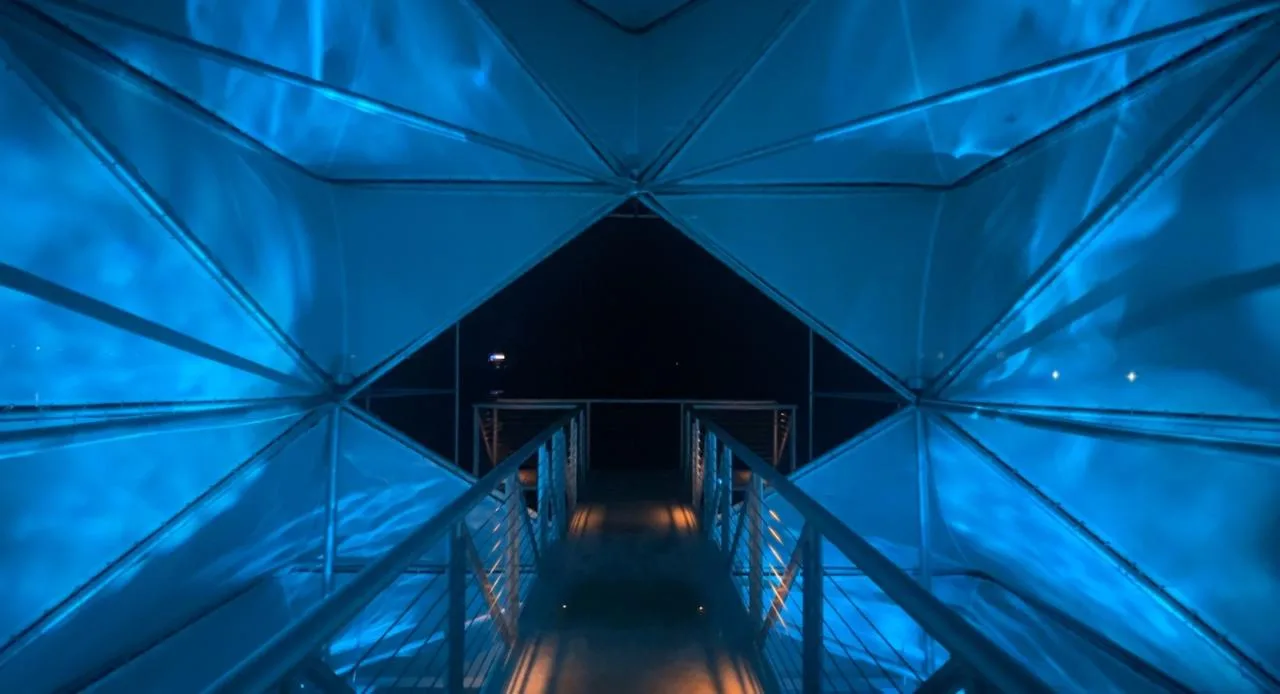 BIM Architecture | Artificial Trees/Limited Design Studio