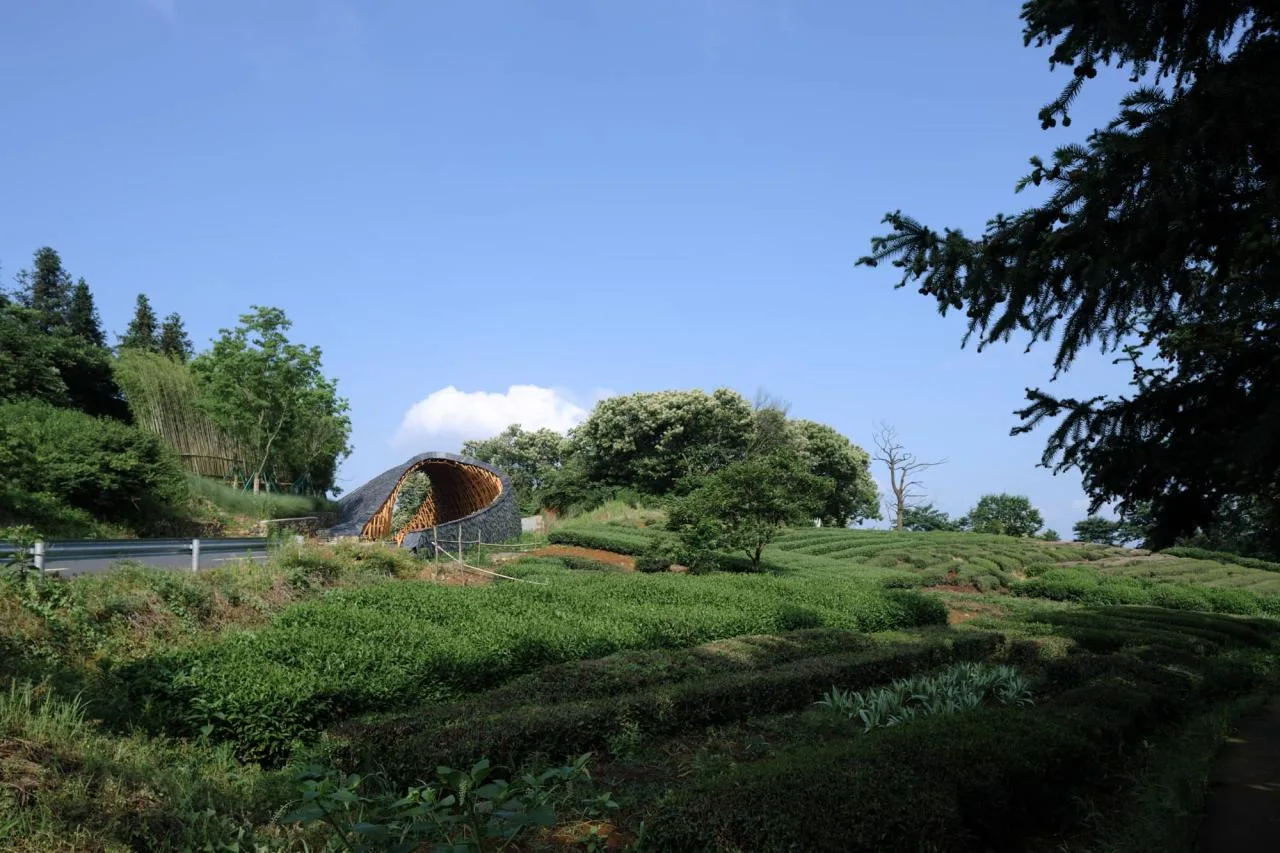 BIM Architecture | From Heaven to Earth: Penetrating through Clouds and Weaving into Wooden Tunnels from Underneath Rocks and Shells; Tengyun Meteorological Environment/Zhu Peidong Line+Architectural Firm