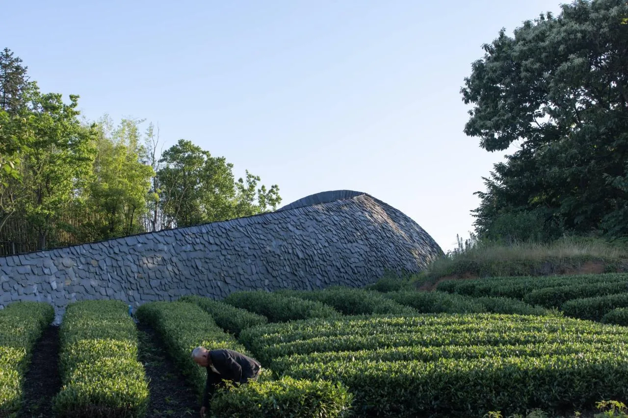 BIM Architecture | From Heaven to Earth: Penetrating through Clouds and Weaving into Wooden Tunnels from Underneath Rocks and Shells; Tengyun Meteorological Environment/Zhu Peidong Line+Architectural Firm