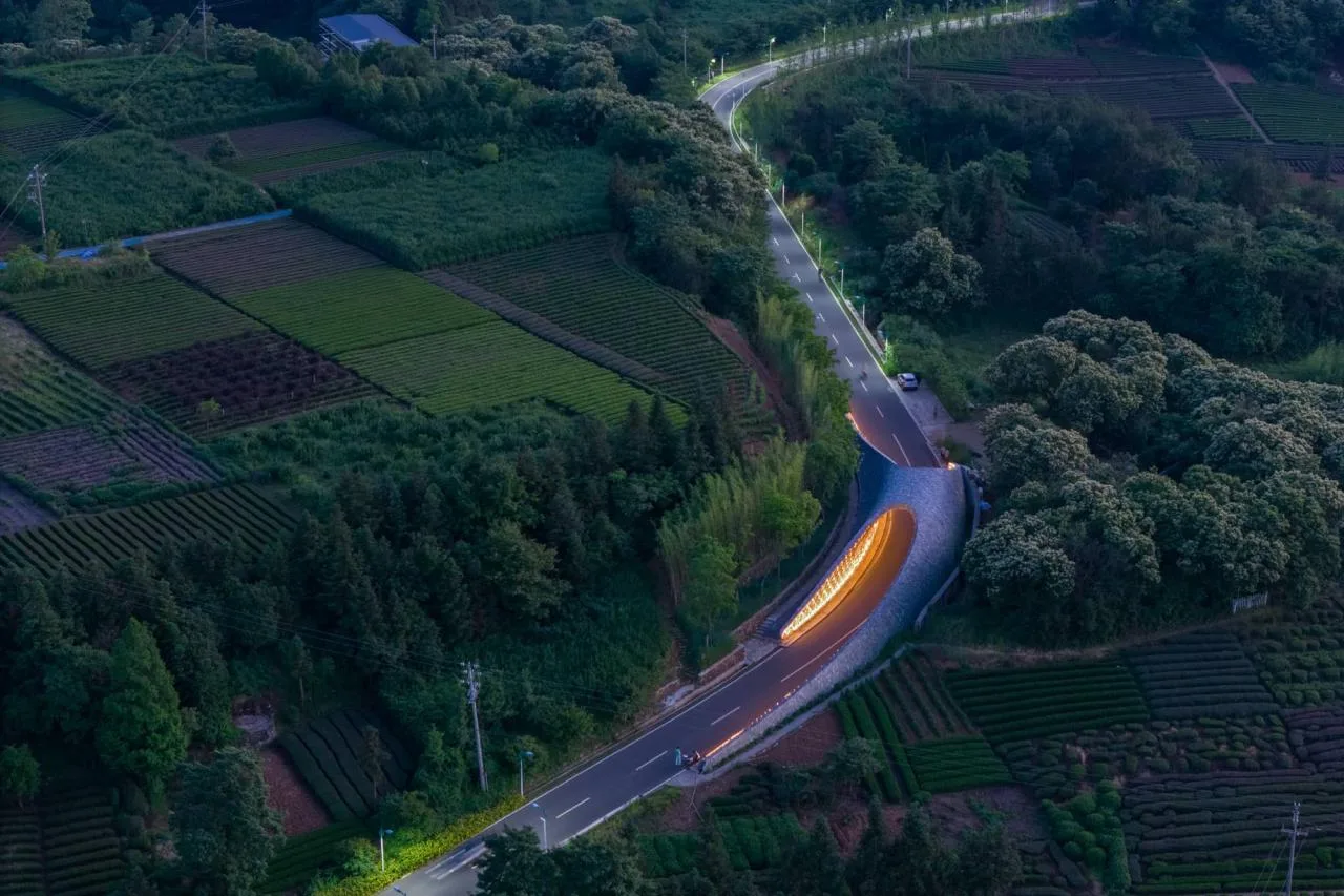 BIM Architecture | From Heaven to Earth: Penetrating through Clouds and Weaving into Wooden Tunnels from Underneath Rocks and Shells; Tengyun Meteorological Environment/Zhu Peidong Line+Architectural Firm