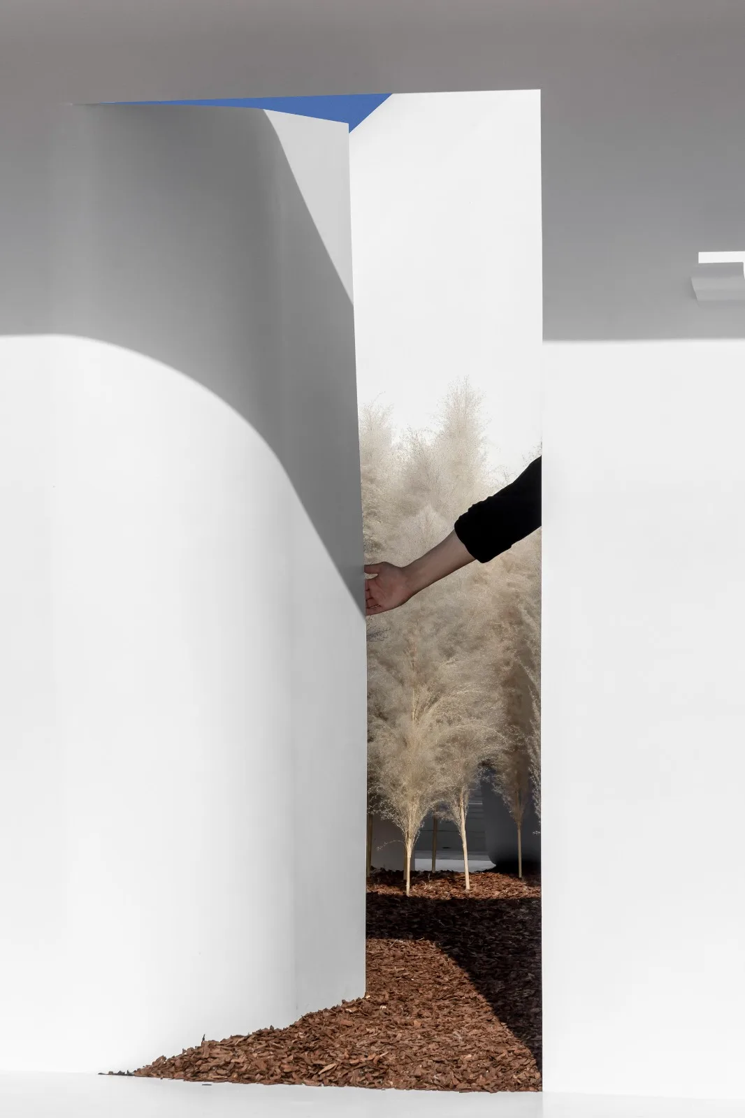 BIM Architecture | Paper Room: A Folding Homeland/Instant Design Research Institute