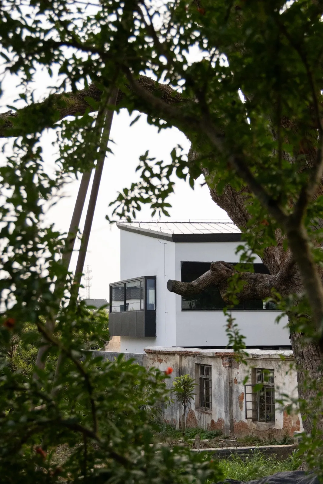 BIM Architecture | Wuzhangting Cultural and Tourism Life Hall/Pingjie Design+Shangrui Yuanzhu