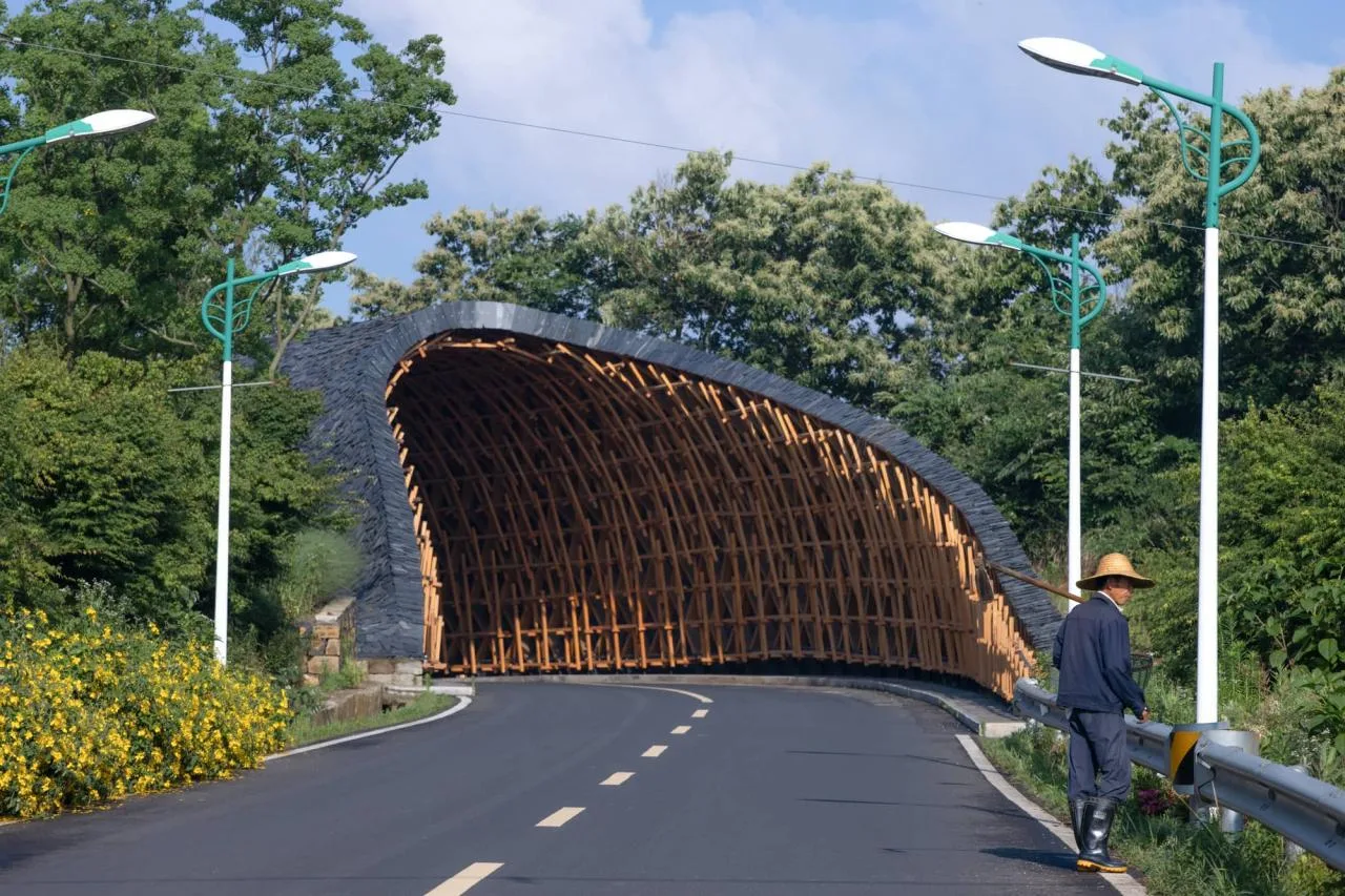 BIM Architecture | From Heaven to Earth: Penetrating through Clouds and Weaving into Wooden Tunnels from Underneath Rocks and Shells; Tengyun Meteorological Environment/Zhu Peidong Line+Architectural Firm