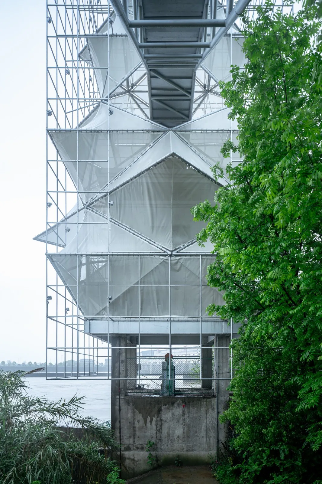 BIM Architecture | Artificial Trees/Limited Design Studio