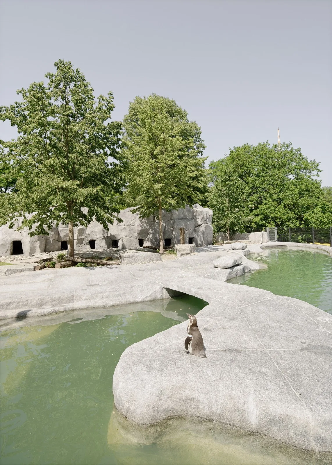 BIM Architecture | Green Experience Center at Louison Park/Bez+Kock Architekten