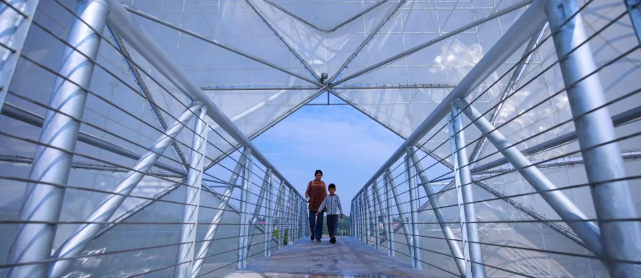 BIM Architecture | Artificial Trees/Limited Design Studio