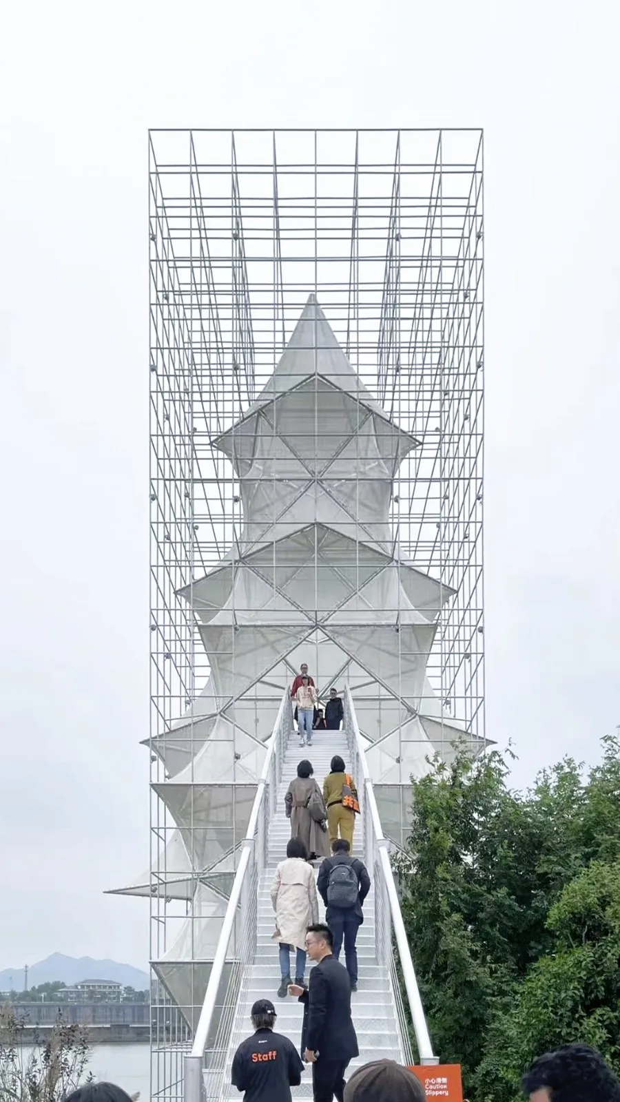 BIM Architecture | Artificial Trees/Limited Design Studio